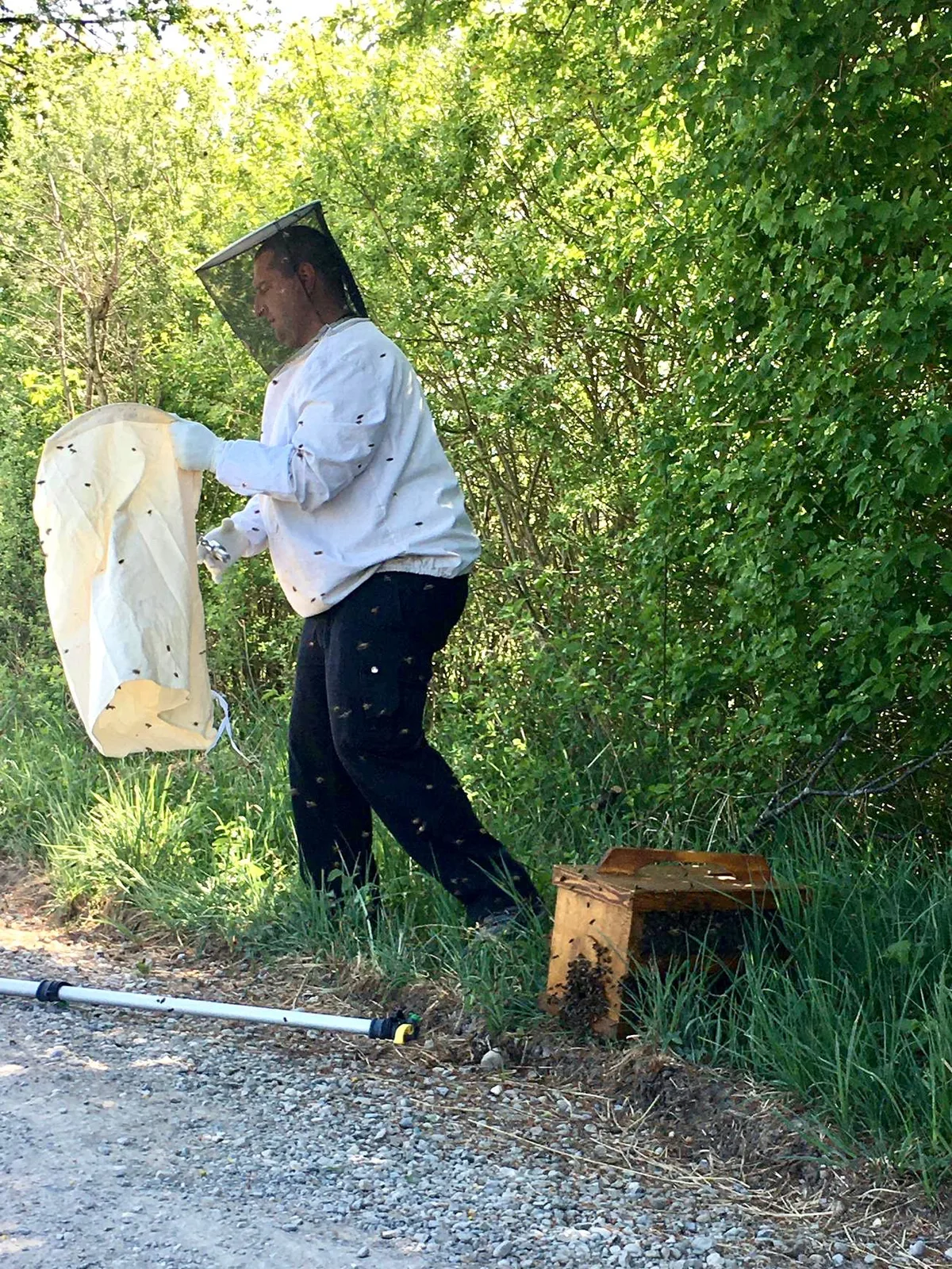 Die Einsätze meistern Schwarmfänger meistens alleine. (PD)