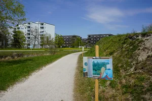 dsc00359 Im Griespark in Volketswil kann derzeit die Ausstellung «Post Corona» bewundert werden., Nicht alle wollen sich offenbar nur mit der Bewunderung der Plakate begnügen. , Passanten vermuten, dass im Park Vandalen Plakate abreissen und wegschmeissen., Vonseiten der Gemeinde relativiert man diese Aussagen., Die Ausstellung läuft noch bis 20. Juni.