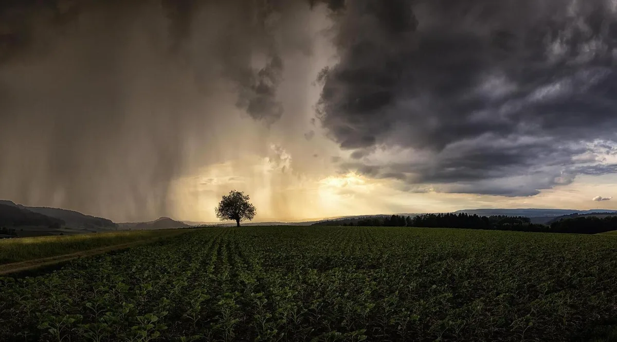 tagi_wetter Eine Schauerzelle entleert sich über einem Feld im Zürcher Unterland: Ein typisches Bild im Mai 2021.