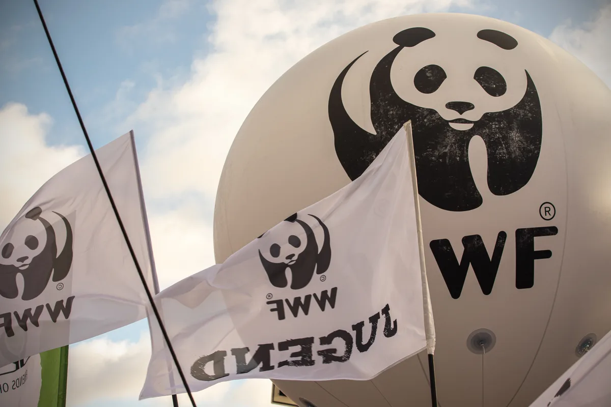 Weil die Firma von Paul Zahner ein ähnliches Logo wie WWF verwendet hatte, wurde die Marke für nichtig erklärt., Diese Tatsache beisse sich mit dem Amt eines Friedensrichters, sagt sein Ustermer Kontrahent Diego Gorisek.