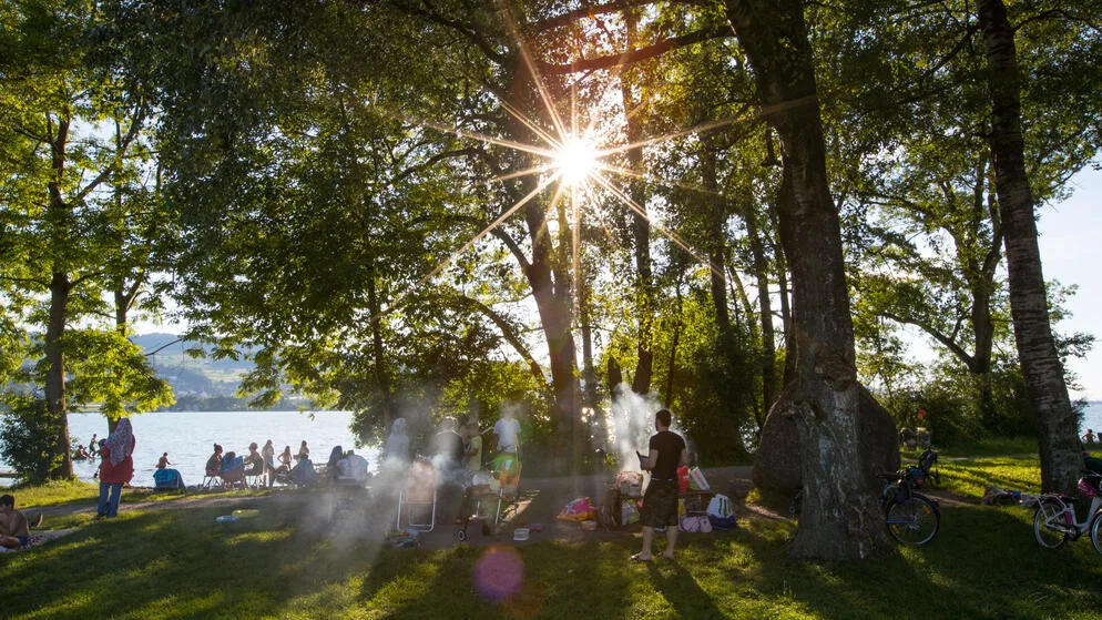 In der Gemeindeordnung von Greifensee, steht dass die Gemeinde ihr Handeln nach den Grundsätzen der Nachhaltigkeit ausrichtet.