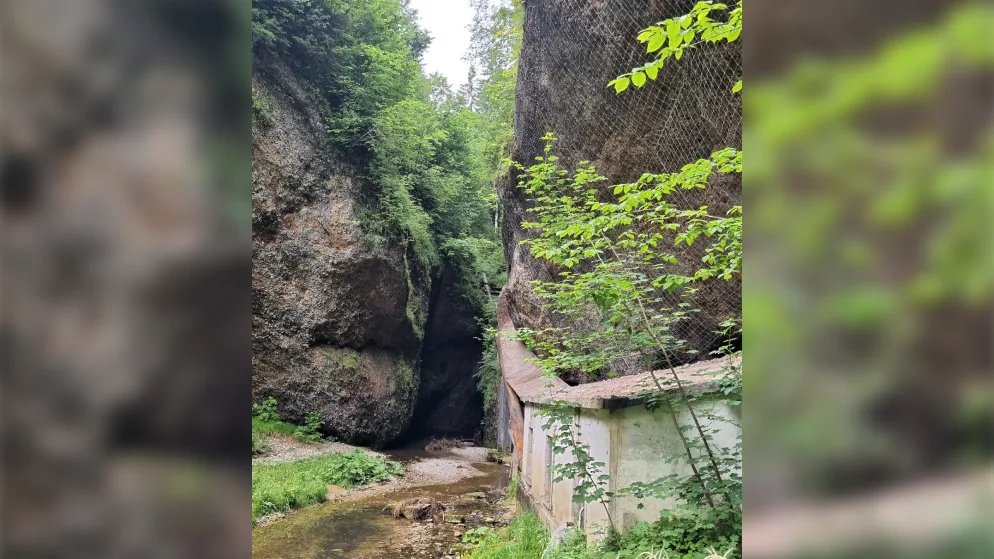 160721_seniorenwandergruppe_11 In der Wissbachschlucht gibt es Nagelfluhwände und mehrere Wasserfälle., Die Seniorenwandergruppe startete am Bahnhof Gossau SG und machte sich auf den Weg zur Pulvermühle im Marstal., In Zellersmüli sah sie ein Haus mit einem Mansardendach., Die Wanderer vor dem Abstieg zur Glatt., In Schwänberg, der urkundlich älteste Siedlung des Appenzellerlandes, ist das alte Rathaus ein beliebtes Fotosujet., Die Wissbachschlucht wird energetisch genutzt. Hier im Bild eine Druckleitung., Die Route führt am idyllischen Wissbach vorbei., Im Restaurant Kantonsgrenze wurde eine Rast genossen.