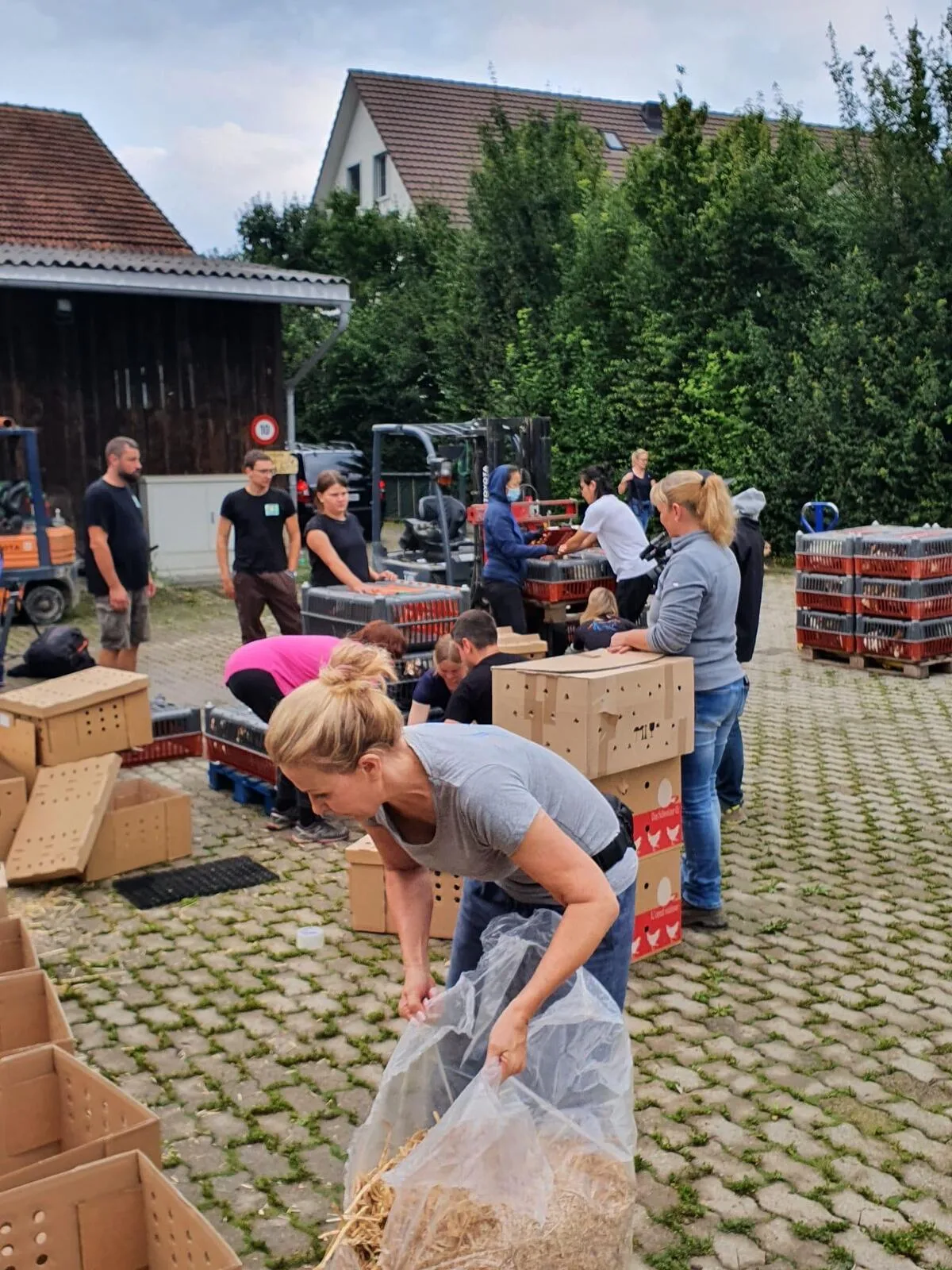 ikaq2375 Mehrere Dutzend Personen reisten aus der ganzen Schweiz an, um Legehennen abzuholen., Mit von der Partie bei der Aktion war die in Kollbrunn stationierte Susy Utzinger Stiftung.