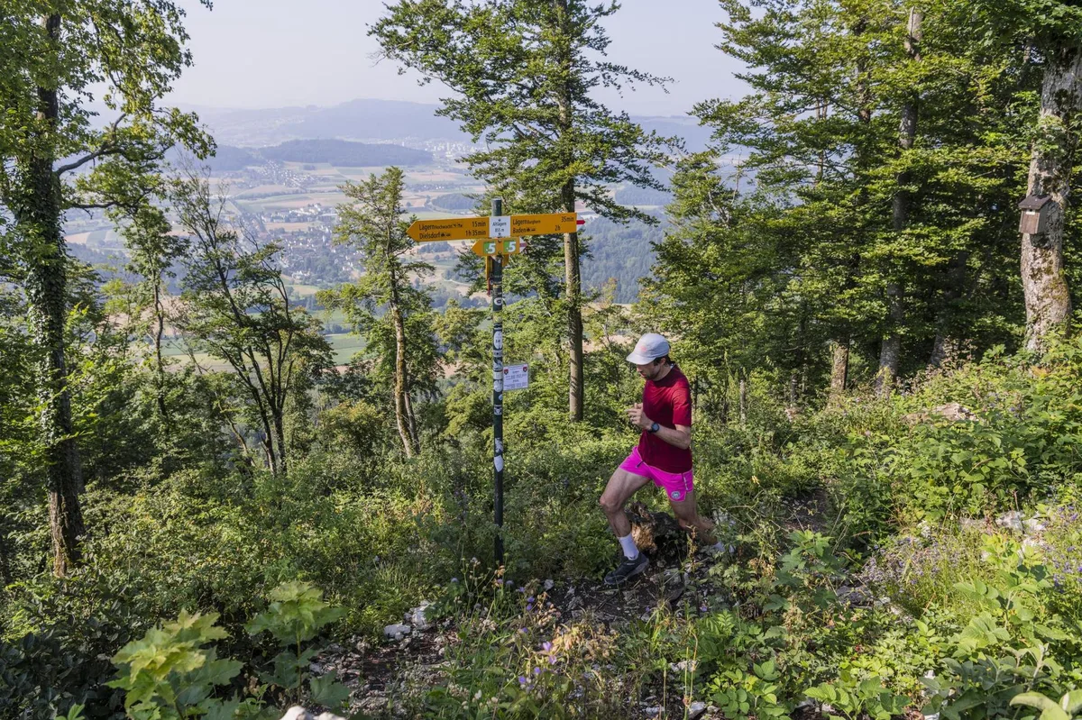 trail1 Besonders im Sommer angenehm: Laufstrecken durch den Wald.