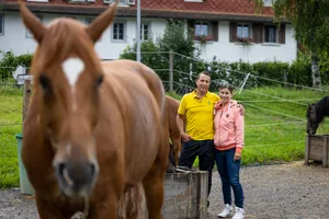 uster_28072021_sommerserie_crm_5 Das Bauernpaar Katrin und Beat Hürlimann auf ihrem Hof in Freudwil. In den Vordergrund gedrängt hat sich Wallach Karino., Katrin Hürlimann mit Leon (links) und Karino auf ihrem neuen Kiesplatz., Wenn Pferdetrainer Beat Hürlimann die Manege betritt, wird er nicht nur von Gilmore Girl begrüsst., Pferde sind Herdentiere, Einzelhaltung ist gegen ihre Natur. Im Bild von links nach rechts: Gilmore Girl, Alexia, Cariño, Diva., Als weiteres Standbein produzieren die beiden Fruchtsäfte auf ihrem Hof.