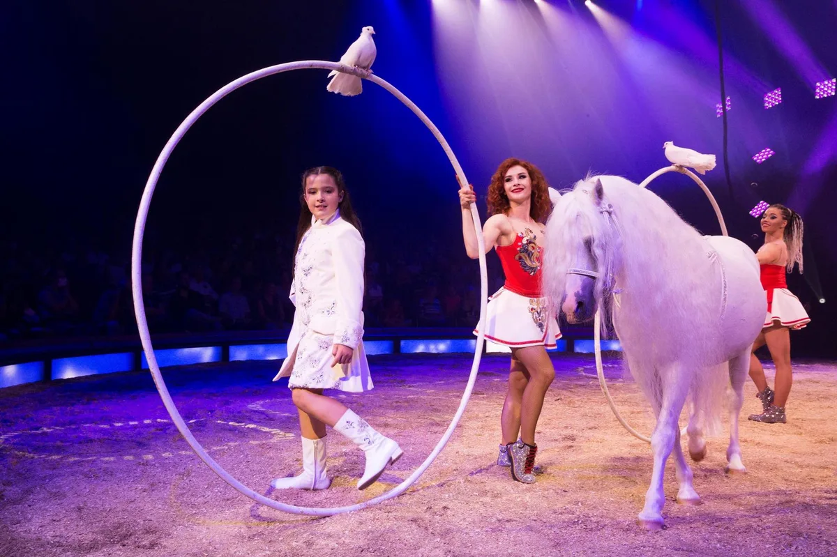 Chanel Marie Knie ist erst zehn Jahre alt, in der Manege aber wirbelt sie schon wie eine Grosse.
