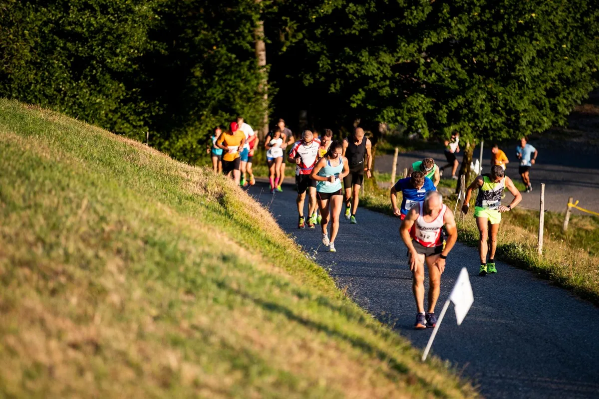 sport_15082018_bergcup_crm_0004_preview Beliebter Berglauf-Cup: Teilnehmer unterwegs aufs Hörnli im Sommer 2018.