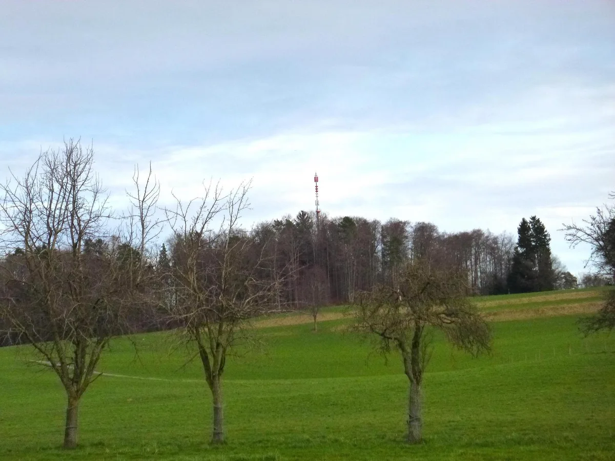 linker_terrorist2 Der Schaden durch das Feuer wird von der Stadtpolizei Zürich auf rund 120’000 Franken beziffert. , Die Notfunkanlage der Stadtpolizei auf der Waid kommt zum Einsatz, wenn der normale Polizeifunk ausfällt. , Das Obergericht hat in diesem Sommer das Urteil des Bezirksgerichts Hinwil bestätigt.