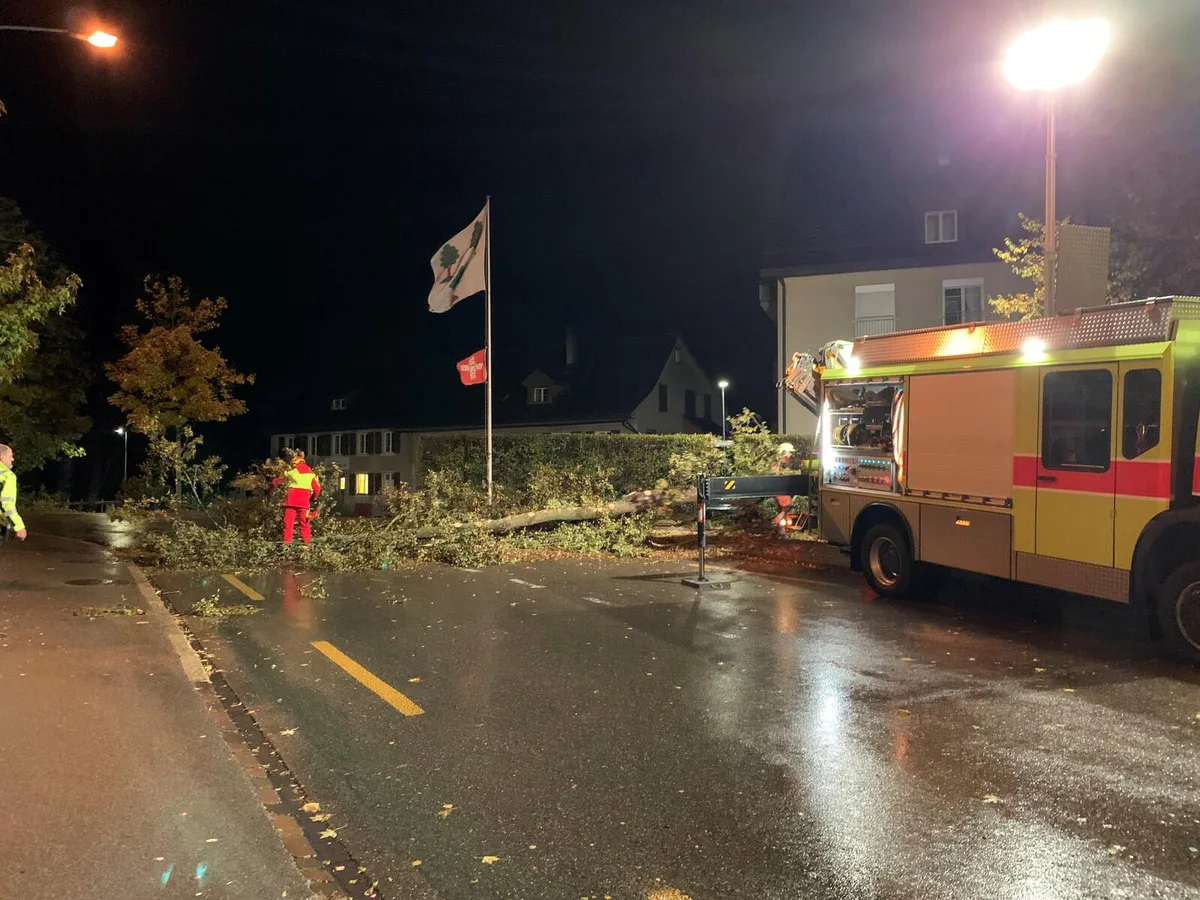 https-zueriost-ch-sites-default-files-media-2021-10-21-2-jpg Am frühen Morgen verlor der Dreilindenplatz eine seiner drei Linden an das Sturmtief Hendrik., Die Feuerwehr rückte aus und räumte den Platz.