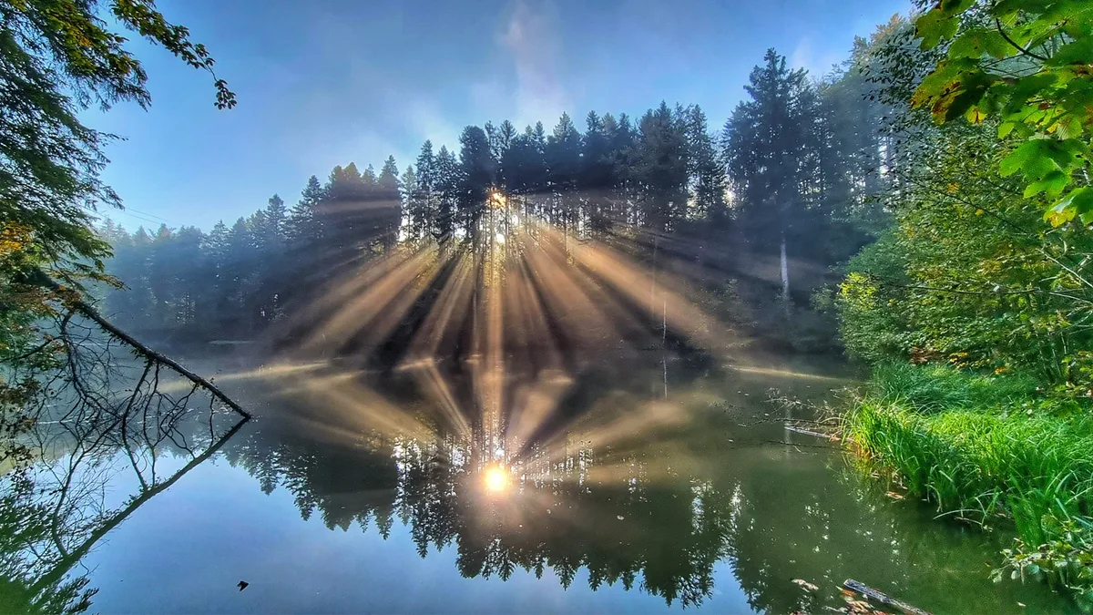 jeannine_zweifel_aus_eschenbach_herbstmorgen_am_tobelweiher_in_hittnau2 Platz 1 mit 196 Stimmen: Herbstmorgen am Tobelweiher in Hittnau, Platz 2 mit 66 Stimmen: Rothirsch während der Brunftzeit, Platz 3 mit 48 Stimmen: Perlenzauber am frühen Morgen in Effretikon, Platz 4 mit 34 Stimmen: «Wie gemalt» aufgenommen am Pfäffiker Seequai, Platz 5 mit 26 Stimmen: Einsame Wolke am Pfäffiker Abendhimmel