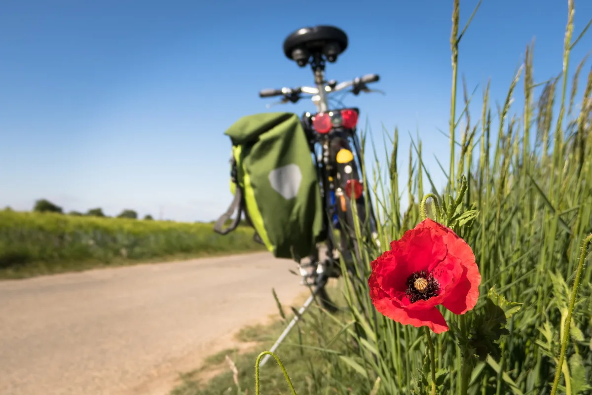to-go-biking-g47eff316b_1920