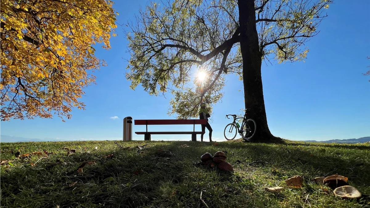 Platz 1 mit 261 Stimmen: «Den goldenen Herbst geniessen» aufgenommen in der Altrüti in Gossau, Platz 2 mit 116 Stimmen: Fischer auf dem Greifensee bei Sonnenaufgang , Platz 3 mit 42 Stimmen: Morgentau in Rumlikon, Platz 4 mit 26 Stimmen: Mäusebussard in Gutenswil auf einem frisch gepflügten Acker, Platz 5 mit 8 Stimmen: Sonnenuntergang auf der Hohwacht oberhalb von Hinwil
