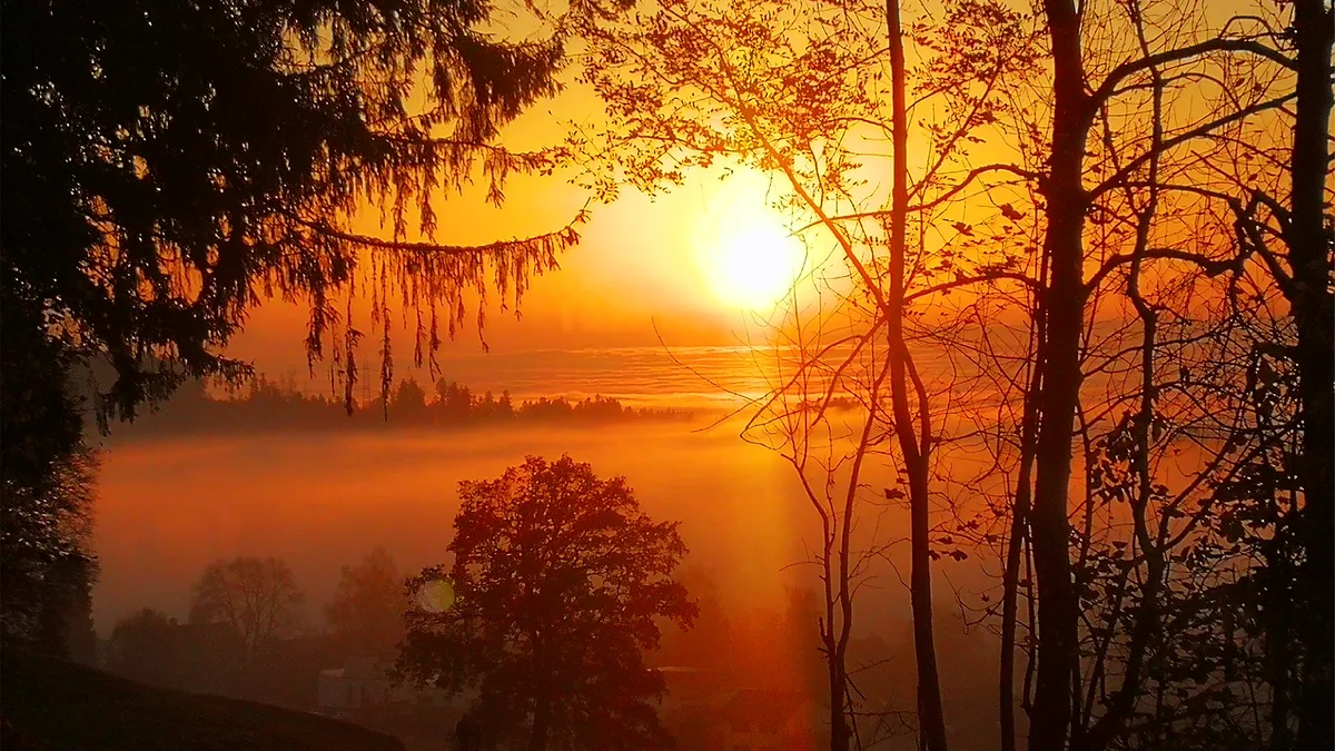 jeannette_jaeger_aus_baeretswil_nebel_in_baeretswil Platz 1 mit 60 Stimmen: «Nebel in Bäretswil», Platz 2 mit 27 Stimmen: «Angel Bird» aufgenommen in Laupen, Platz 3 mit 12 Stimmen: «zwei Enten im Herbstgoldbad» aufgenommen unterhalb des Toni Gumpen in Wila, Platz 4 mit 11 Stimmen: Herbsttag mit Nebelmeer auf dem Rosinli, Platz 5 mit 4 Stimmen: Vollmonduntergang oberhalb von Küsnacht