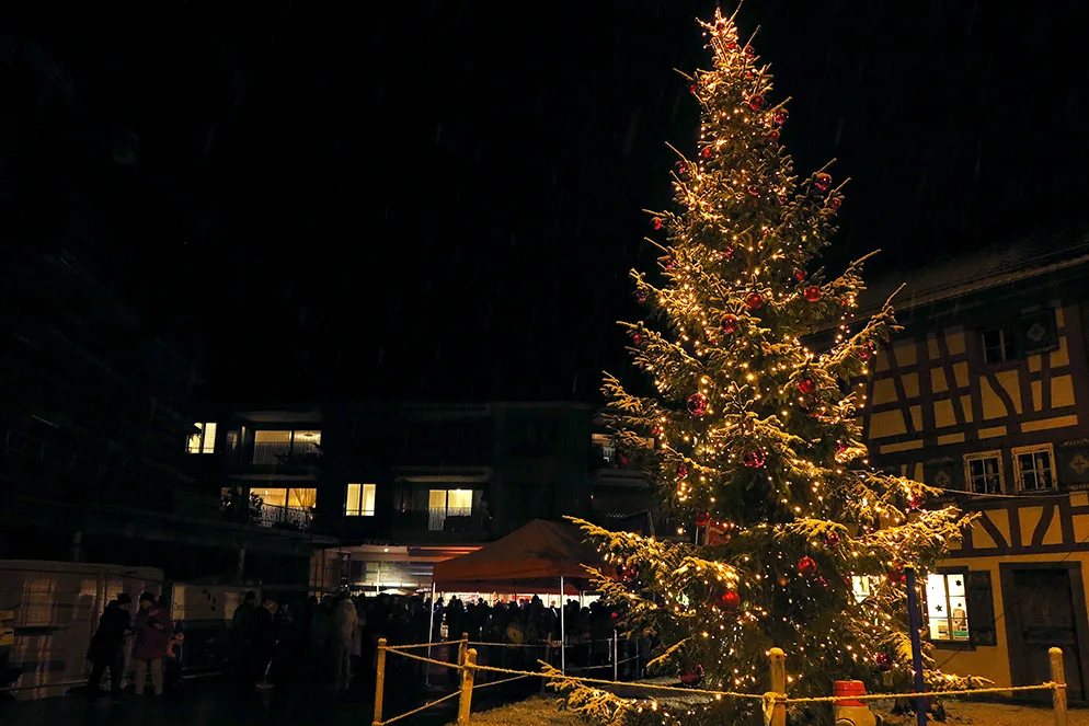 img_4846 Kurz nach dem Eindunkeln wurden die Lichter am Baum angezündet., Für die musikalische Umrahmung sorgte die Musikgesellschaft Harmonie Turbenthal., Gespannt hörten die Besucherinnen und Besucher zu.