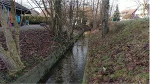 lausiges_bild Heute sieht der Werrikerbach so aus. Doch nach dem Entscheide der Greifenseer soll die Natur mehr Platz bekommen.