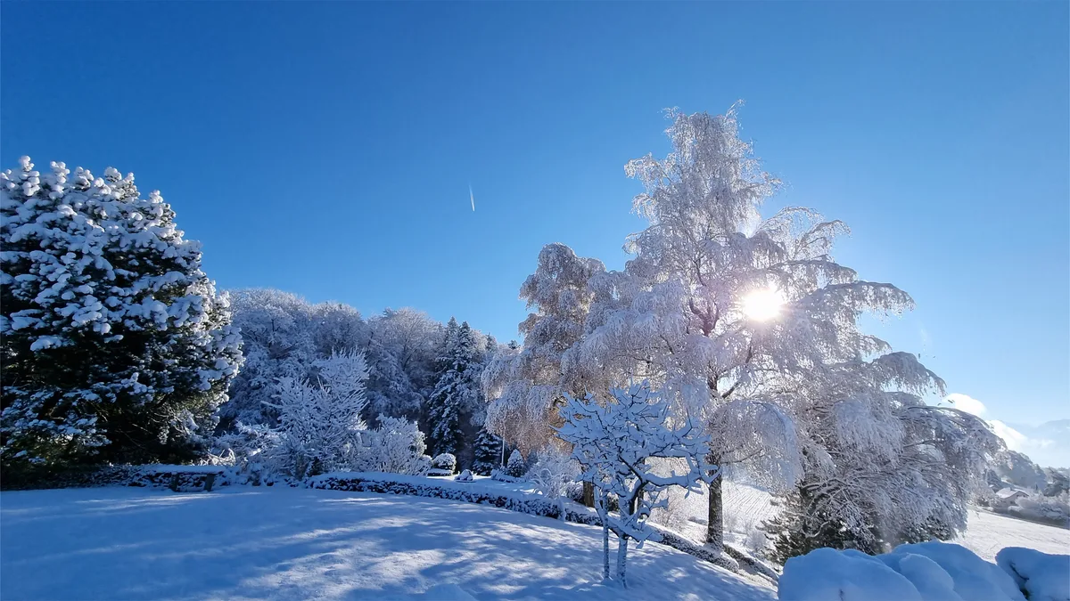 verena_rothenbuehler_aus_hinwil_wintermorgen_im_schoenenberg_hinwil Platz 1 mit 52 Stimmen: Wintermorgen im Schönenberg, Hinwil, Platz 2 mit 26 Stimmen: «Eine erstaunte Waldmaus im Garten», Platz 3 mit 13 Stimmen: «Strassenüberquerung in Bubikon», Platz 4 mit 12 Stimmen: «Kaira im Schnee», aufgenommen bei Wald, Platz 5 mit 5 Stimmen: Im verschneiten Weisslinger Wald