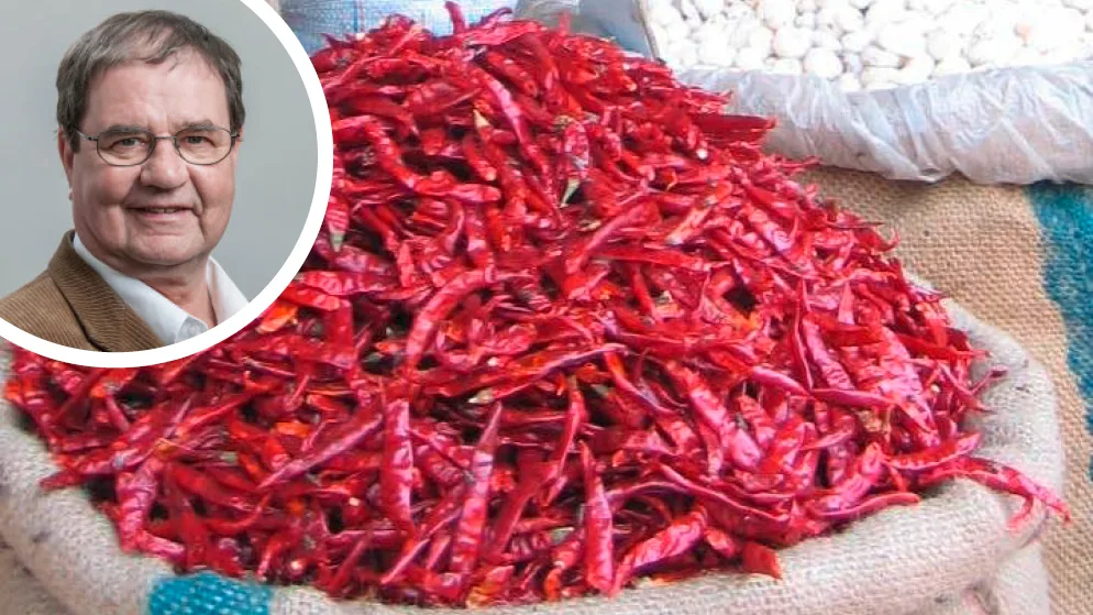 20211126-bildkombo-aufgefallen-chilli