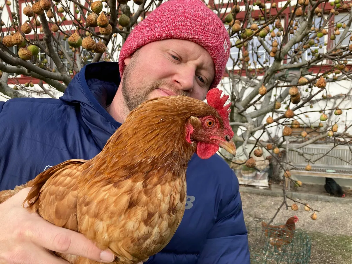 Der ZO-Redaktor präsentiert stolz eine der beiden geretteten Hennen.