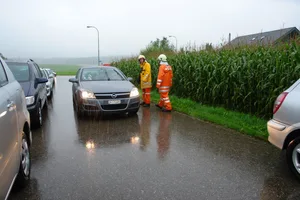 0597040 Parkieren wird in Lindau in Zukunft teurer werden. , Sicherheitsvorsteherin Pia Lienhard (FDP) will ein neues Reglement mit Parkgebühren durch die Gemeindeversammlung bringen.