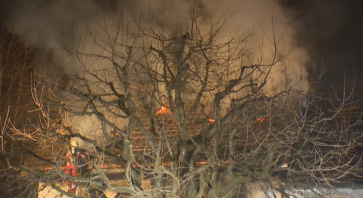 christbaumbrand2 Am Sonntagabend stand in Rüti ein Einfamilienhaus in Flammen., Der Grund war gemäss Angaben der Polizei ein Christbaum, der Feuer fing.