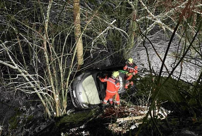 https-zueriost-ch-sites-default-files-media-2022-01-09-2-jpg Ein Autofahrer ist in der Nacht auf Samstag zwischen Turbenthal und Wildberg von der Strasse abgekommen., Die Feuerwehr musste ausrücken, um das Auto zu bergen., Der Fahrer blieb beim Selbstunfall laut Kantonspolizei unverletzt.