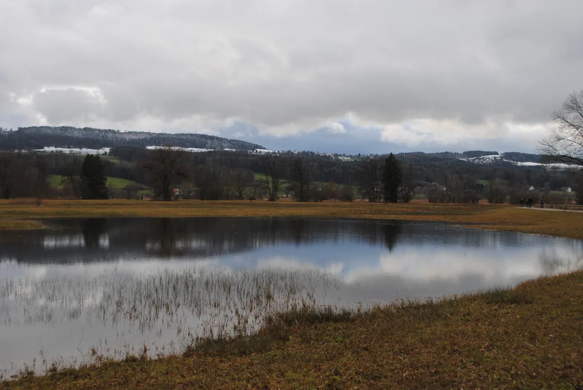 Um etwa 15.30 Uhr ziehen hinter der Forch bereits die nächsten dunklen Schneewolken auf., Auch von Norden her näherten sich wieder dunkle Wolken., Für Wetterfreunde eine spannende Angelegenheit - das Wetter änderte sich ständig., Während den kurzen Aufhellungen war die Sicht so klar, dass die Alpen gut sichtbar waren., Die Wasservögel am Greifensee sind sicher froh, dass es derzeit keine Eisschicht gibt., In den höheren Lagen des Pfannenstiels blieb am Sonntag der Schnee liegen., Der Blick aufs Schloss Uster vom Aaspitz her gesehen., , Die kurzen sonnigen Phasen wecken die Vorfreude auf den Frühling.