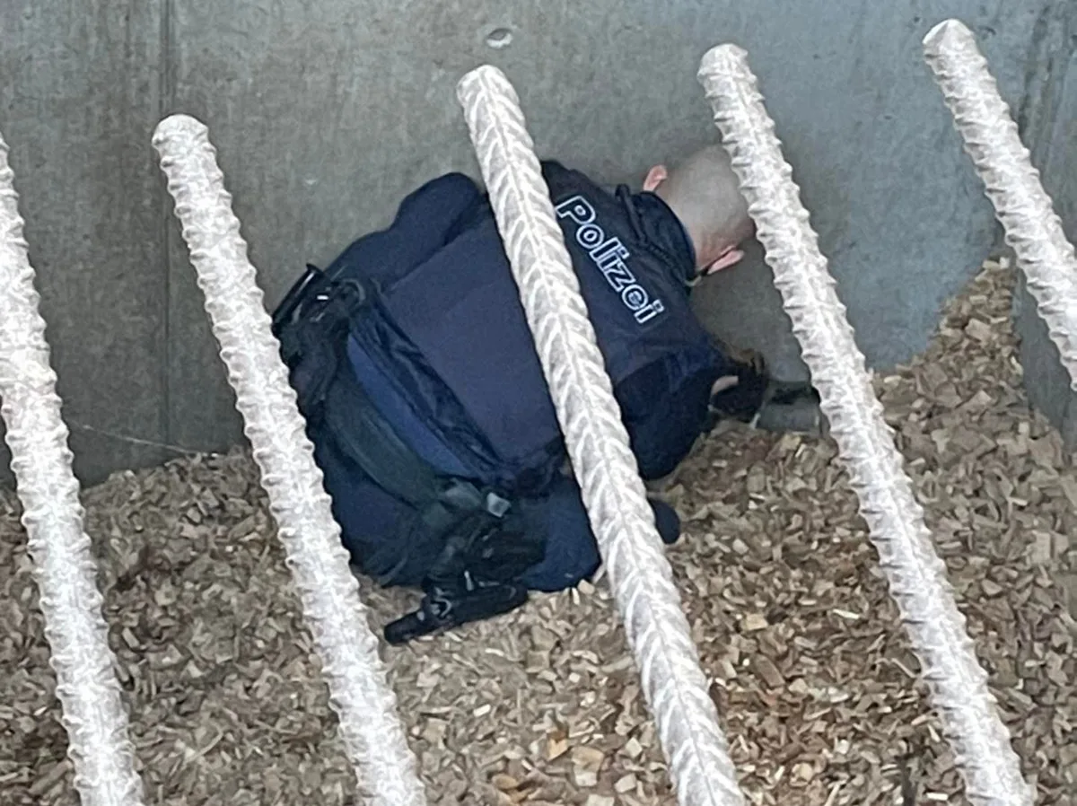 buesi-stadtpolizei-uster-rettung-schnitzel-1 Eine Katzendame war in einem Schnitzelbunker eingesperrt und musste befreit werden., Als Dank für die galante Tat hinterliess die Dame einige Kratzspuren.