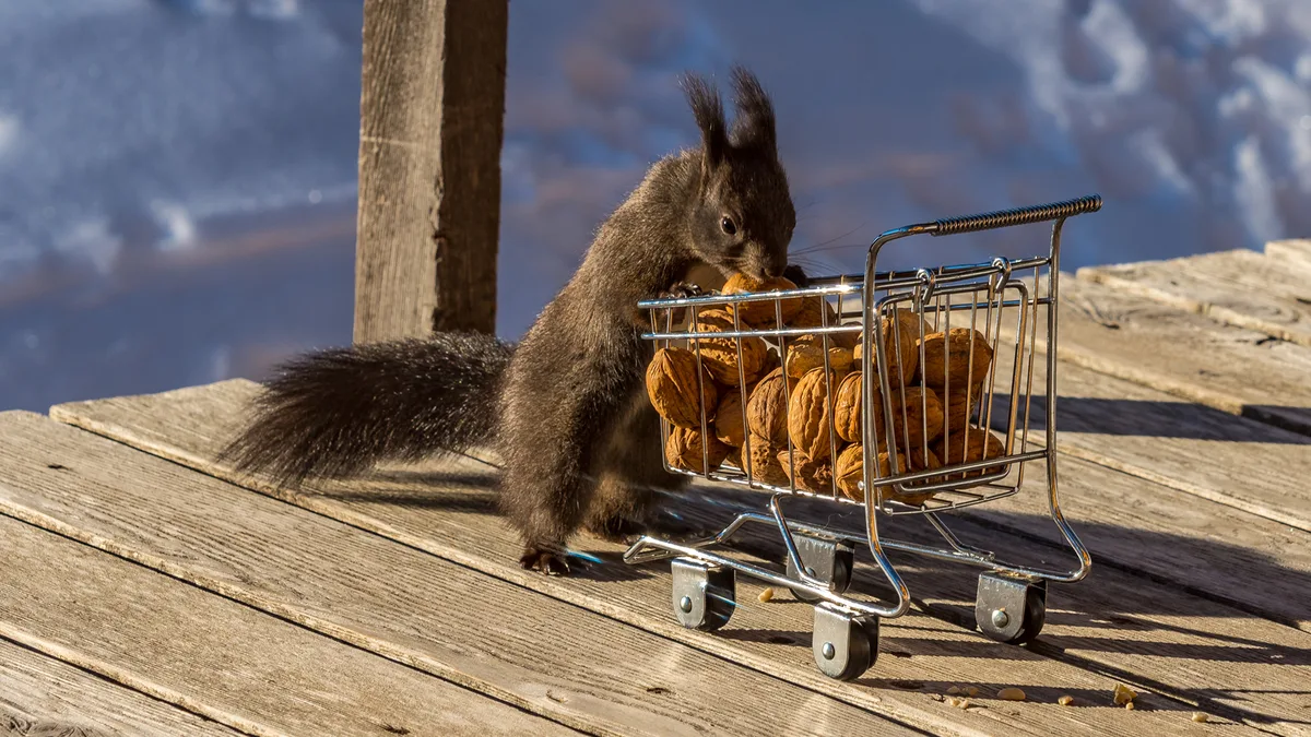 https-zueriost-ch-sites-default-files-media-2022-02-08-marco_sulzer_aus_saland_eichhoernchen_auf_shoppingtour-jpg Platz 1 mit 71 Stimmen: Eichhörnchen auf Shoppingtour, Platz 2 mit 24 Stimmen: «Bachtelspitze piekst Mond», aufgenommen am Lorenbächli bei Rüti, Platz 3 mit 18 Stimmen: «Die ersten Sonnenstrahlen erreichen den Pfäffikersee», Platz 4 mit 11 Stimmen: Fischreiher auf Froschfang in Adetswil, Platz 5 mit 10 Stimmen: «Sonnenaufgang Farner Kulm»