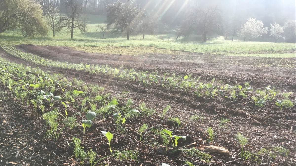 Slowgrow Mönchaltorf