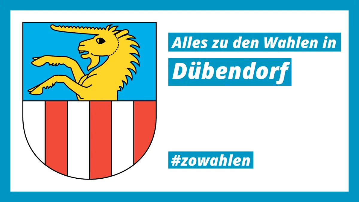 Wer wird in den Dübendorfer Regierungssitz einziehen? An Interessenten mangelt es nicht. So haben die Dübendorfer die Wahl.