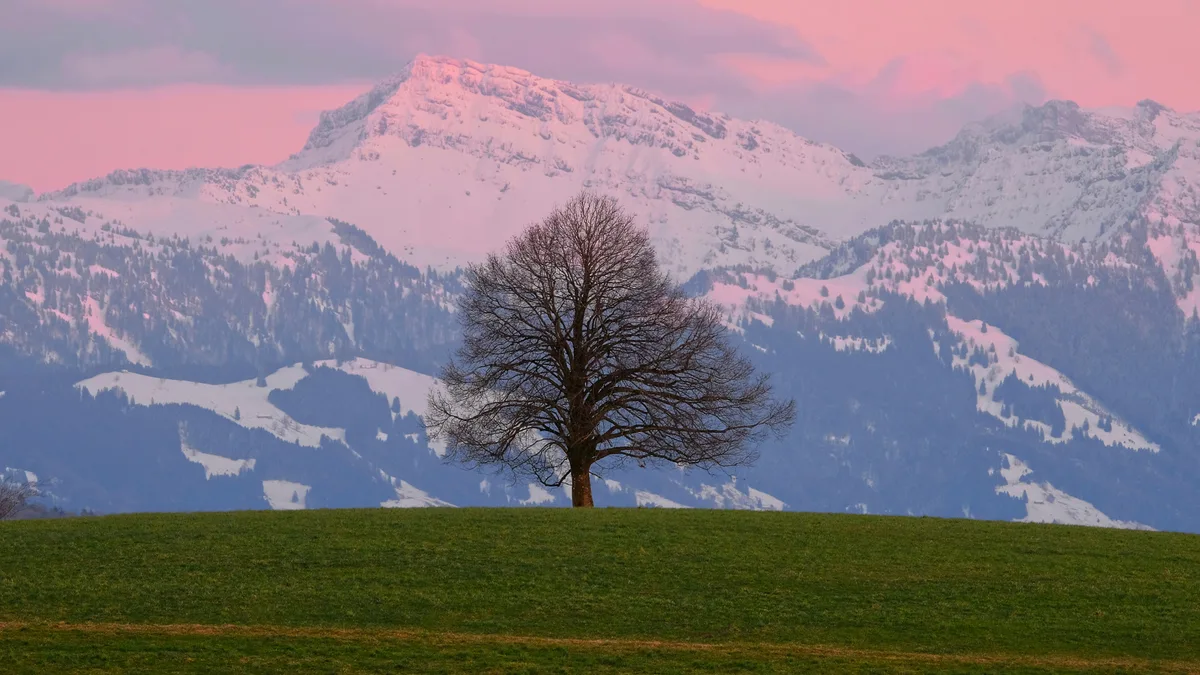 https-zueriost-ch-sites-default-files-media-2022-03-08-erwin_jenni_baum_bei_bubikon_in_eisiger_bise_mit_den_alpen_im_hintergrund-jpg Platz 1 mit 79 Stimmen: Ein einsamer Baum bei Bubikon in eisiger Bise vor einer malerischer Bergkulisse, Platz 2 mit 58 Stimmen: Schneeglöckchen auf dem Bachtel in der Abendsonne, Platz 3 mit 34 Stimmen: Ausserhalb Greifensees mit Blick Richtung Fällanden, Platz 4 mit 22 Stimmen: Schneeglöckchen im Garten, Platz 5 mit 5 Stimmen: Bergsilhouette im Abendlicht