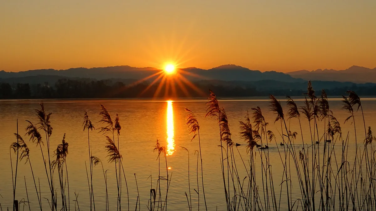 https-zueriost-ch-sites-default-files-media-2022-03-15-paul_schafroth_aus_greifensee_sonnenaufgang_am_greifensee_aufgenommen_in_maur-png Platz 1 mit 113 Stimmen: Sonnenaufgang am Greifensee, Platz 2 mit 56 Stimmen: Zauberhafter Sonnenaufgang in der Drumlinlandschaft zwischen Wetzikon und Hinwil, Platz 3 mit 25 Stimmen: Holzsteg am Greifensee, Platz 4 mit 14 Stimmen: Rotmilan in Fehraltorf, Platz 5 mit 12 Stimmen: «Der Geist vom Pfäffiker Römerkastell»