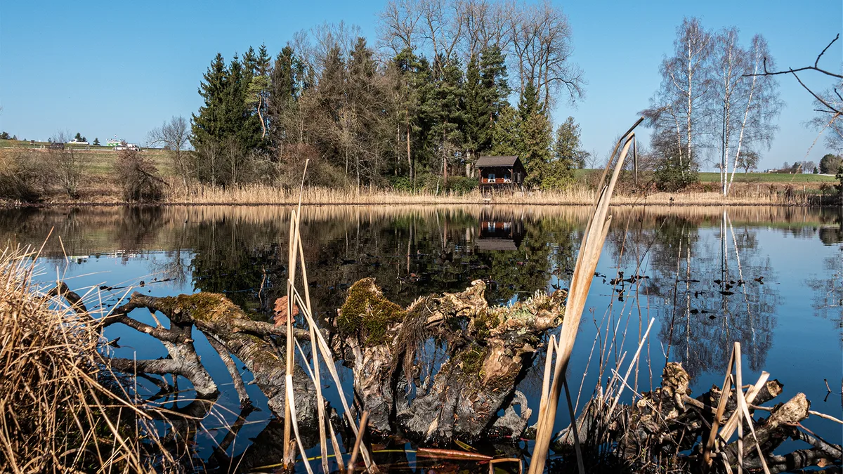 marco_sulzer_aus_saland_schoene_lichtstimmung_am_weiher_bei_illnau Platz 1 mit 49 Stimmen: Schöne Lichtstimmung am Weiher in Illnau, Platz 2 mit 28 Stimmen: Die Badi Auslikon im Gegenlicht, Platz 3 mit 18 Stimmen: eine Schäfchenherde in Uster, Platz 4 mit 17 Stimmen: Sonnenaufgang über dem Greifensee, Platz 5 mit 15 Stimmen: «Schwan Leda übt den Kopfstand», aufgenommen auf dem Kundelfinger Hof in Diessenhofen