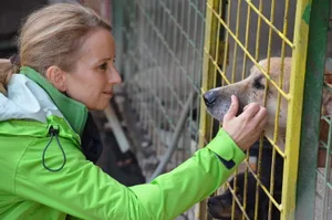 2015-10-22_353 Esther Geisser setzt sich rund um den Globus für Tiere ein. Derzeit verstärkt auch in der Ukraine., Der NetAP-Partnertierartzt Bogdan Dascalu hilft einer Geflüchteten mit den Papieren., Medizinische Tierhilfe im Bus: Die Besiterzin freuts, den Hund weniger.