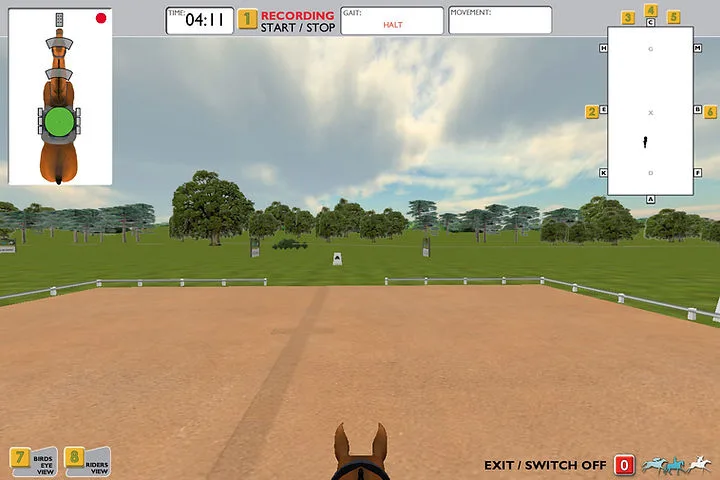 Grafische Darstellung eines Dressurvierecks beim Reitsimulator