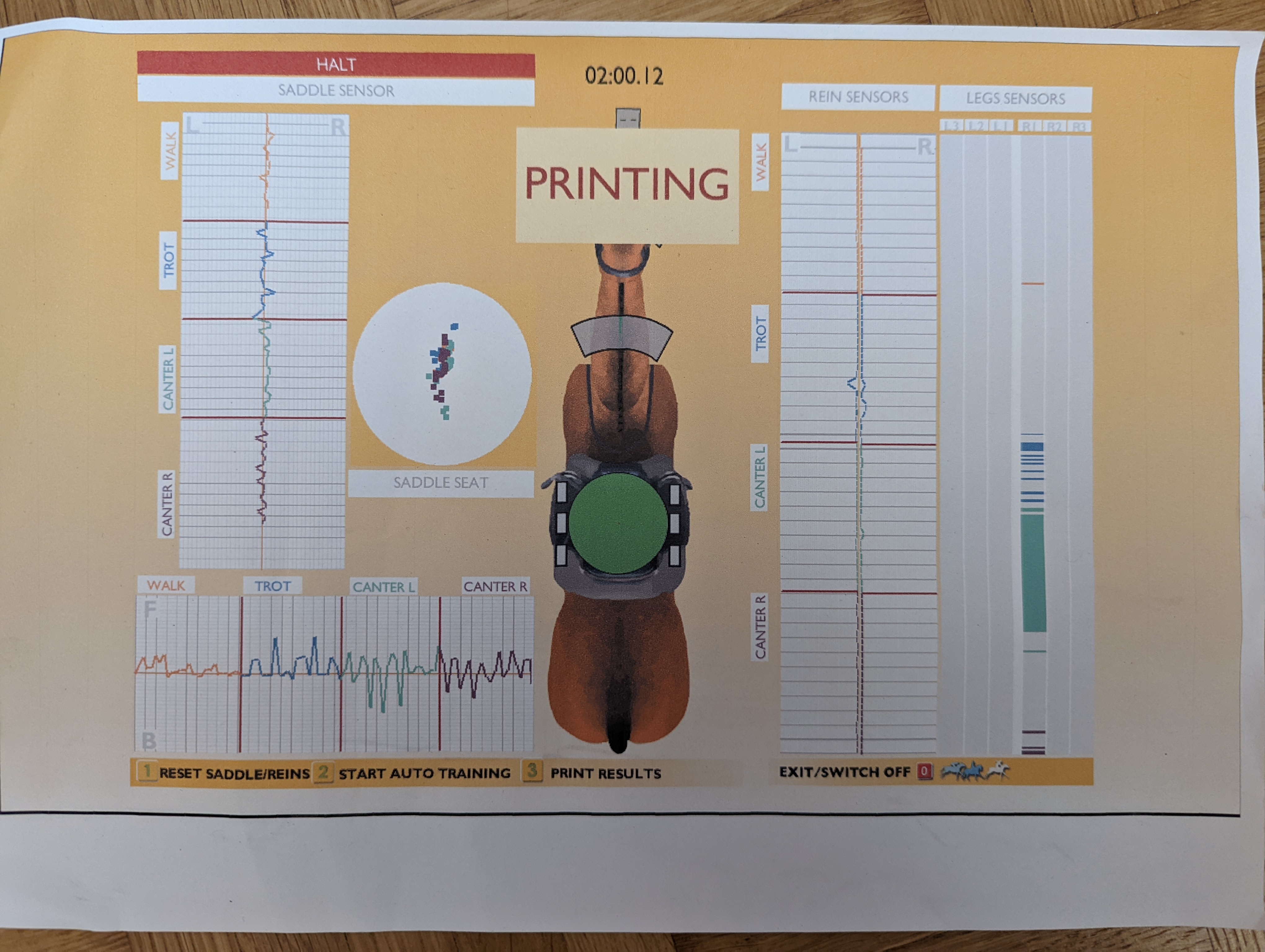 Grafikauswertung der Analyse des Reitsimulators