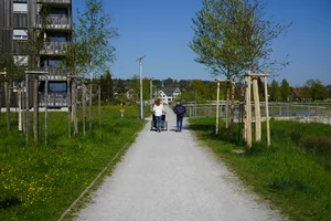 https-zueriost-ch-sites-default-files-media-2022-04-21-dsc00968-jpg Für ältere Menschen ist der Weg durch den Griespark offenbar nicht immer komfortabel., Personen haben sich bei der Gemeindebeschwert, dass sie wegen gröberen Kieselsteinen mit Rollator und Rollstuhl Probleme haben., Deswegen will die Gemeinde auf dem Bakisaweg einen neune Belag einbauen., Der Weg ist rund 450 Meter lang und bei Seniorinnen und Senioren sehr beliebt., Der neue Belag soll laut der Gemeinde optisch dem bisherige Kiesweg gleichen., Im Herbst soll dann auch die Brücke über den Weiher saniert werden.