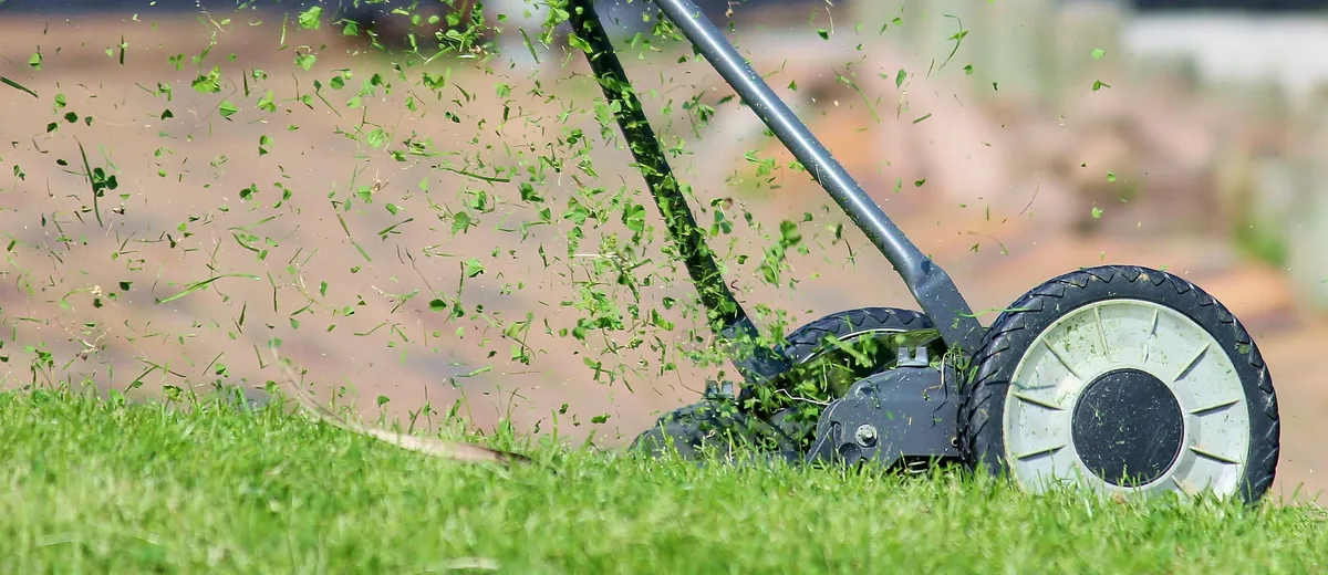 Am lärmfreien Gartentag soll der Rasen beispielsweise mit dem Handrasenmäher geschnitten werden.