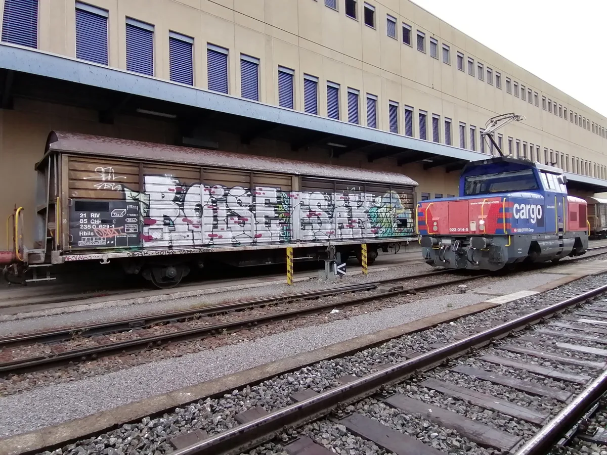 Sprayereien an Eisenbahnwagen: schnell gemacht – doch die finanziellen Folgen belasten erwischte Täter dann oft noch jahrelang.