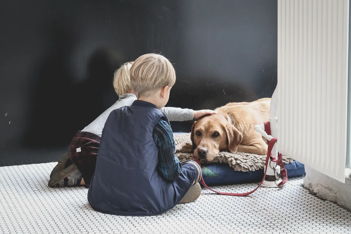 https-zueriost-ch-sites-default-files-media-2022-05-09-hund_kinder_unsplash_szqzu4nqsak-jpg Ein Hund, der zur Präventionsarbeit bei Kindern eingesetzt wird, wurde zum Gegenstand eines Oberländer Prozesses.