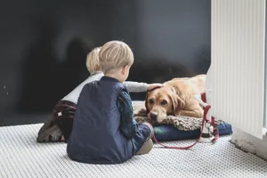 https-zueriost-ch-sites-default-files-media-2022-05-09-hund_kinder_unsplash_szqzu4nqsak-jpg Ein Hund, der zur Präventionsarbeit bei Kindern eingesetzt wird, wurde zum Gegenstand eines Oberländer Prozesses.