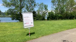 https-zueriost-ch-sites-default-files-media-2022-05-16-1-jpg Die Warnung ist unmissverständlich: Hunde dürfen bei Niederuster am Greifensee nicht ins Wasser.