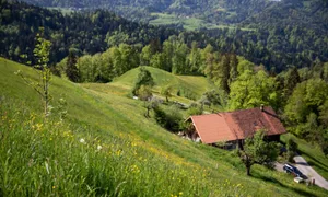 https-zueriost-ch-sites-default-files-media-2022-05-16-11_0-jpg