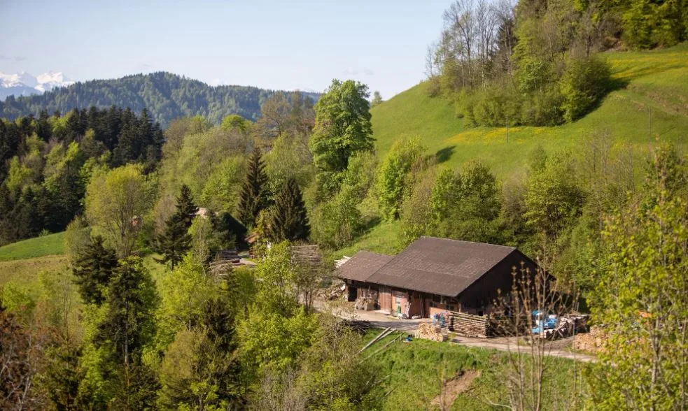 Ein Bauernhof aus der Ferne fotografiert. Das rote Dach der Scheune ist weithin sichtbar.