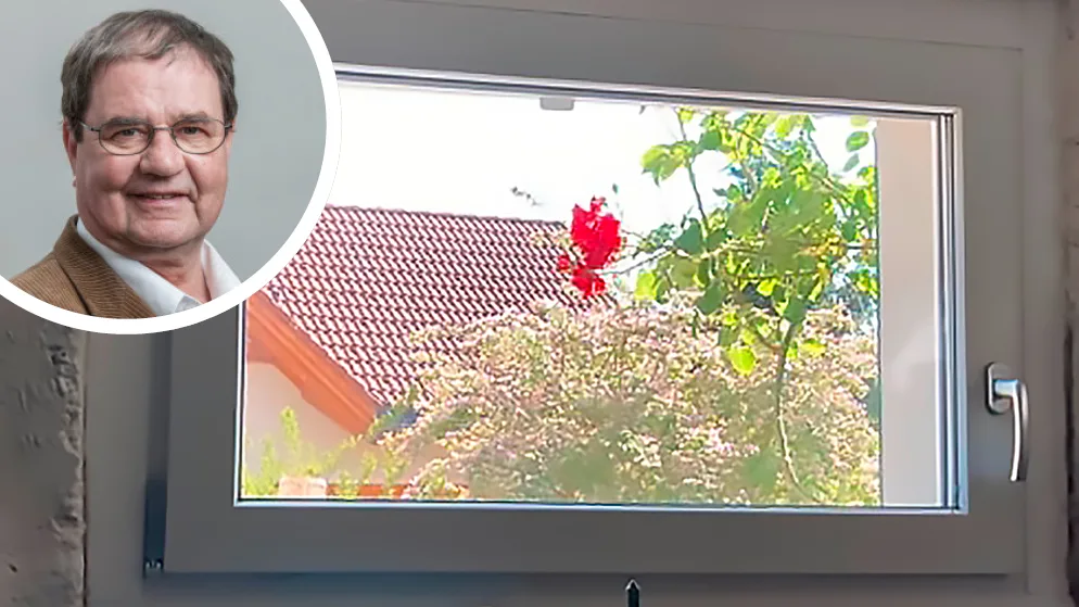 https-zueriost-ch-sites-default-files-media-2022-05-30-aufgefallen-gedacht-rose-vor-dem-kellerfenster-klimawandel_0-jpg