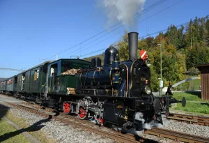r3bp_dvzo-treff_bauma13102018_jam25_preview , Nicht jede Kohle-Art ist geeignet für die Dampflokomotive. Der DVZO teste derzeit verschiedene Produkte., Er probierte unter anderem Bio-Kohle, die teils aus Olivensteinen hergestellt wird. Leider ist sie nicht passend., Mit reinen Anthrazit-Briketts hatte der Verein ebenfalls kein Glück., Trotzdem ist Vorstandsmitglied Christian Schlatter überzeugt, dass der DVZO bald fündig wird.