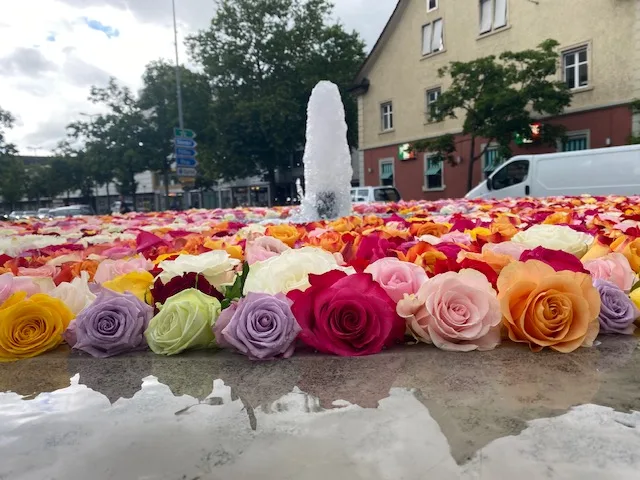 img_8339 Mehr Farben braucht die Welt, oder in diesem Fall Uster: Der Verein Herzkern hat die Stadt geschmückt., An diversen Orten wurden farbige Rosen platziert., Der Juni wird indes auch als Rosenmonat bezeichnet., Die farbige Pracht ist noch bis am nächsten Donnerstag in einer Woche zu bestaunen.
