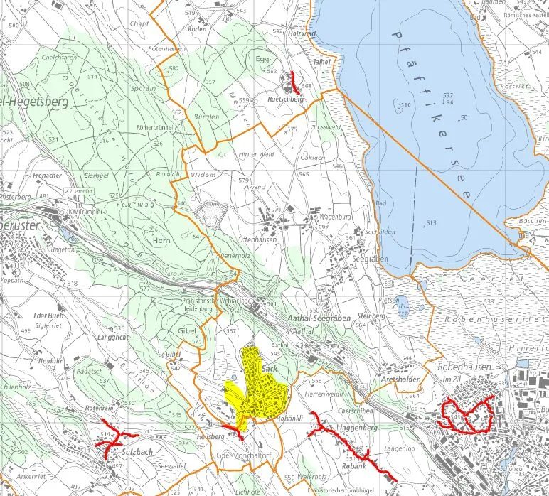 Rot die realisierten und geplanten 30er Strecken. Nun wird im Sack (gelb) eine 30er Zone realisiert. (Karte: Gis)