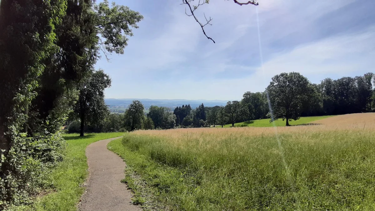 Wenn nicht grad Bäume oder Hecken im Weg stehen, hat man einen schönen Blick auf das Glattal und die Region Greifensee.