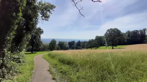sommerserie_hoehenwanderung_0_frontbild_preview Wenn nicht grad Bäume oder Hecken im Weg stehen, hat man einen schönen Blick auf das Glattal und die Region Greifensee.